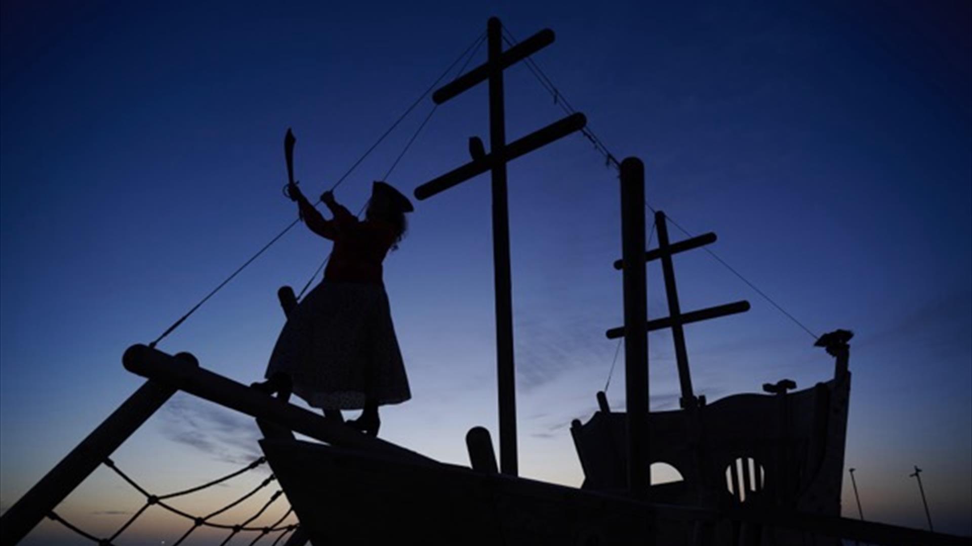 The outline of a female pirate  standing  on a ship  holding a cutlass in the air against the backdrop of a sunrise.