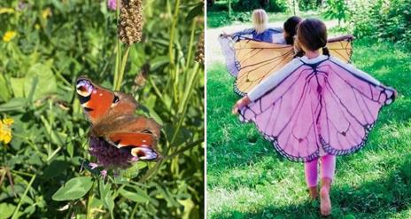 2 images, one on left the up close of a butterfly and the one on the right little girls walking away with butterfly wings in a green garden
