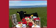 A calf standing beside a picnic table laid with food in a field overlooking the sea