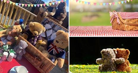 Collage of Teddy's, one pictures is a selection of Teddys in a picnic basket, then a picture of the back of two Teddys as they sit on the grass, and a