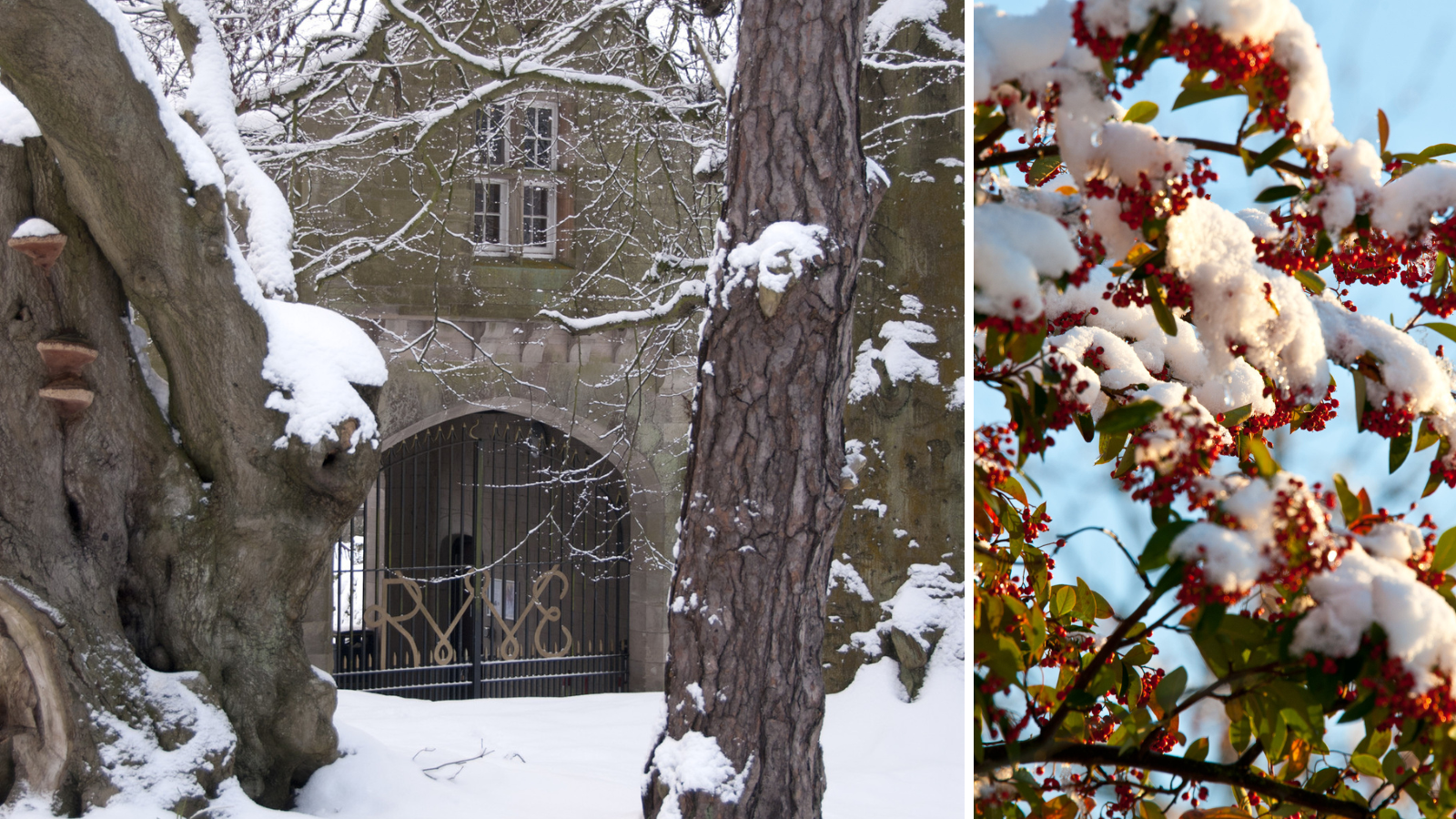 North Down Museum in the snow