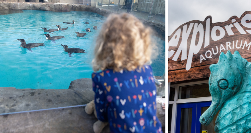 Exploris Aquarium and Seal Sanctuary in Portaferry
