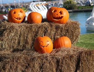 Pickie Funpark Pumpkin Patch