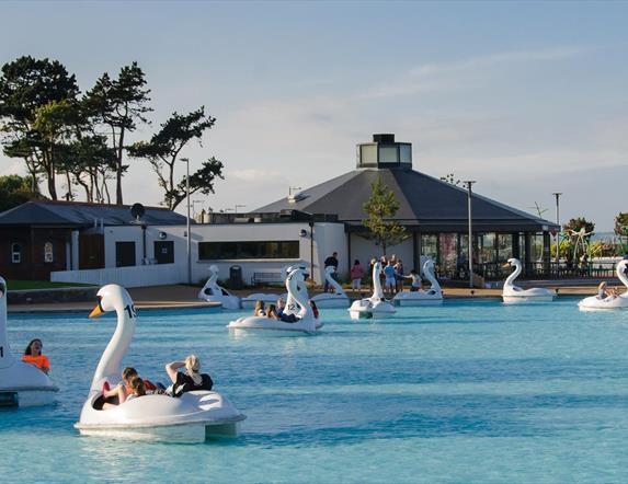 Photo of people enjoying rides on the Giant Swans pedal boats on the blue waters of the man made pond at Pickie Funpark