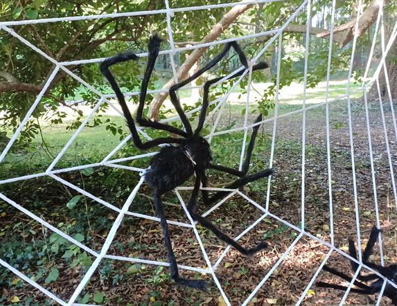 Halloween fun at Mount Stewart
