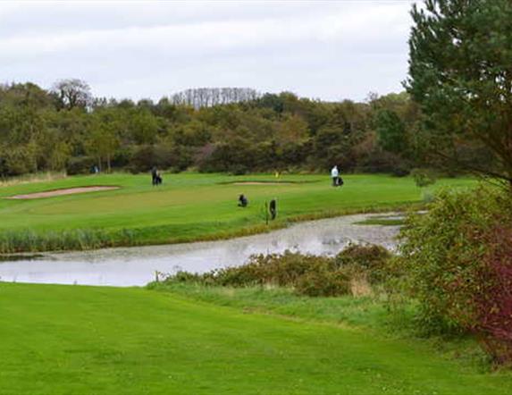Photo of golfers in play on the green