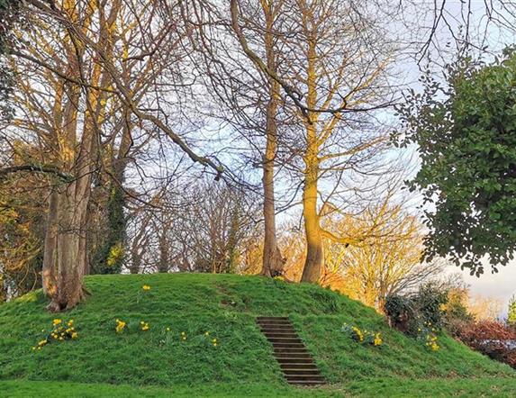 a photograph of the motte surrounded by some trees