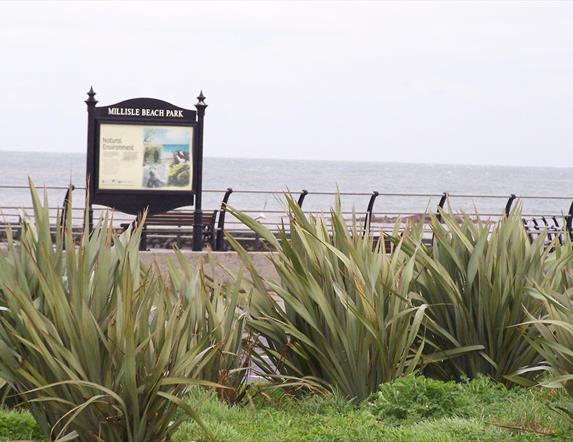 Photo of shrubs and reeds along Millisle promenade with water in the distance