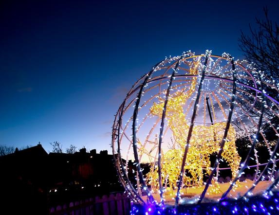 Photograph of Christmas decor in Bangor of a Reindeer and its young lit up within a globe of fairy lights