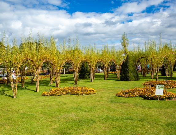 Bangor Castle Walled Garden