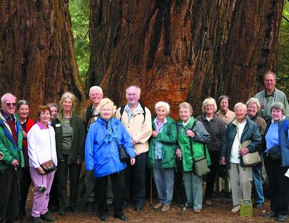 A tour group posing for the photo in the woods