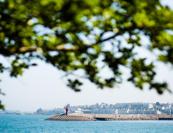 A photo from a distance showing Eisenhower Pier on a sunny day, framed by a leafy tree branch