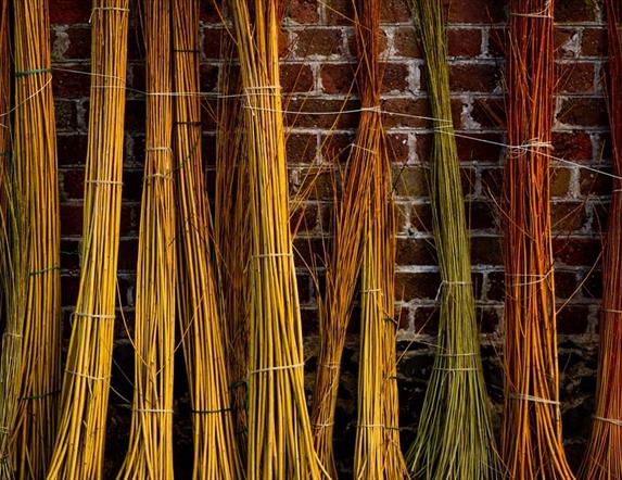 WILLOW DRYING OUT AGAINST A RED BRICK WALL