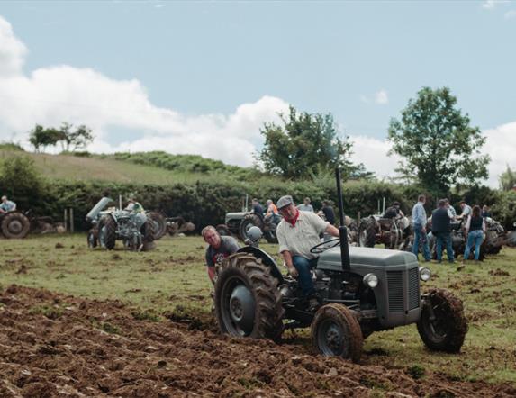 Tractors in a field