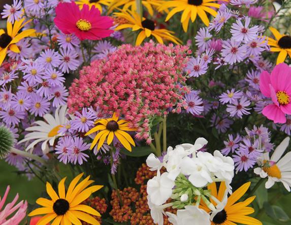 Flowers