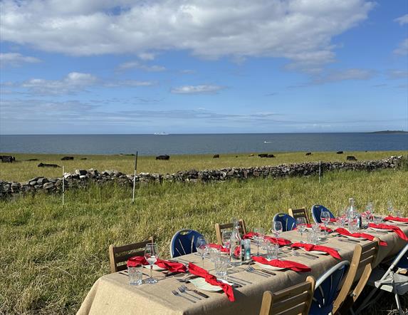 Ballyboley Wild Dining