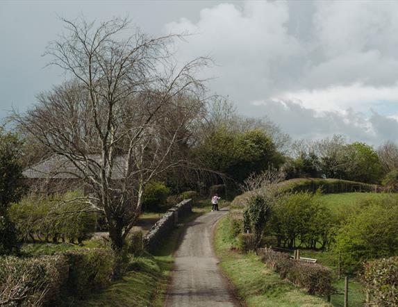 Learn to identify native tree species at the Ulster Folk Museum