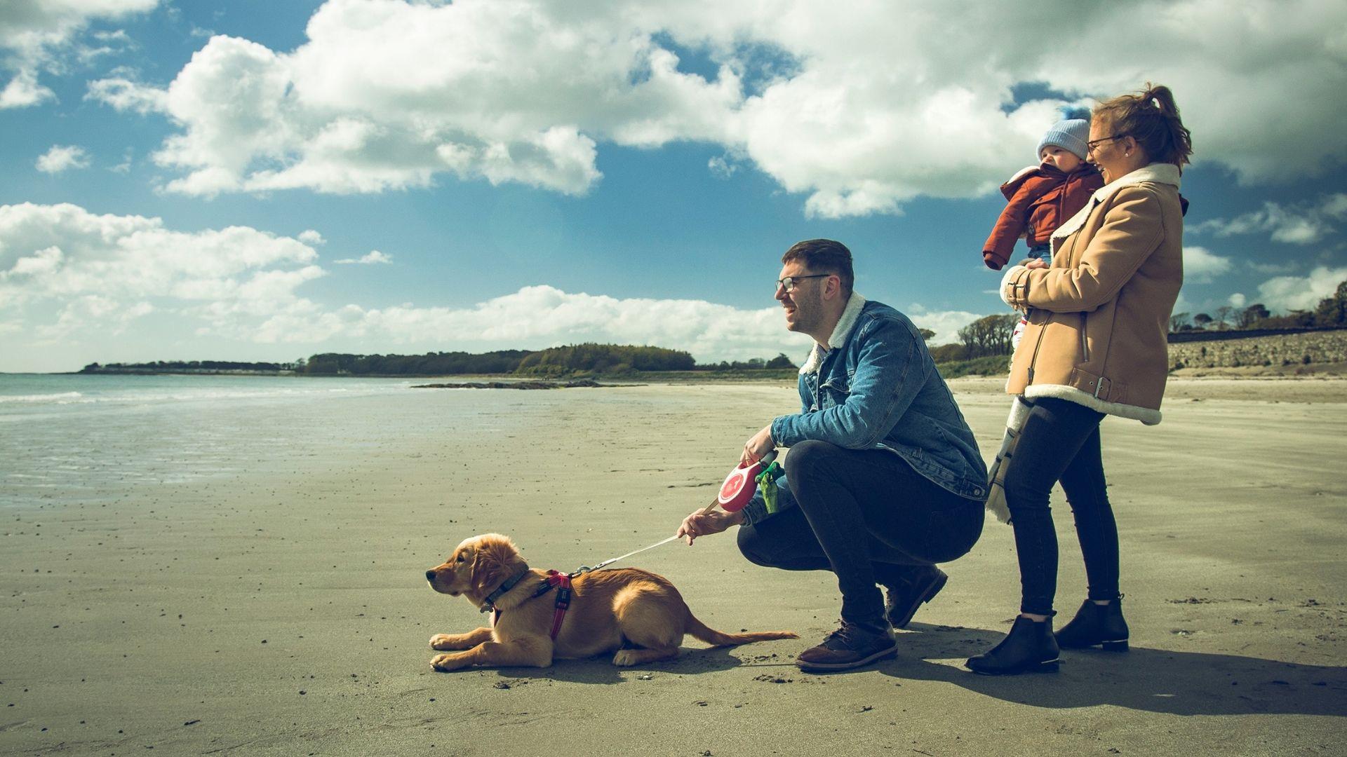 The Top Ten Dog Walking Spots in Ards and North Down Ards & North Down