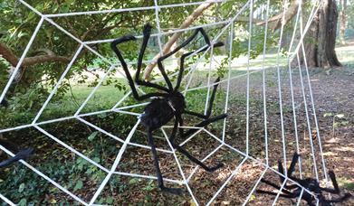 Halloween fun at Mount Stewart