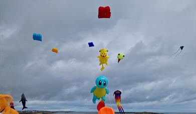 Ards Peninsula Villages Partnership Kite Festival