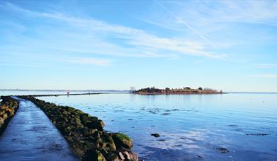 Island Hill & North Strangford Nature Reserve