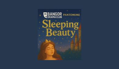 Bangor Drama Club, Sleeping Beauty Pantomime poster