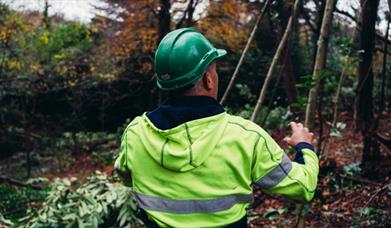 Worker in a green hard hat and high viz jacket handling ropes in a wooded area.