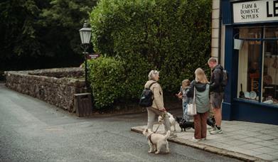 Learn about the use of detection dogs in conservation with CEDaR