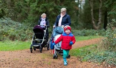 A child wearing a winter coat, hat and wellies running through the woodland. The child is followed by two adults pushing buggies.