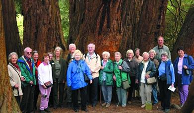 A tour group posing for the photo in the woods