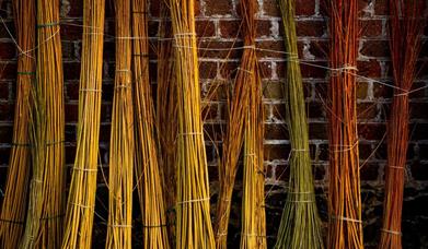 WILLOW DRYING OUT AGAINST A RED BRICK WALL