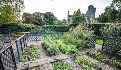 Greyabbey Physic Garden with Abbey in background