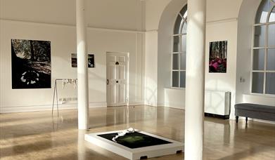 A group of sculptures and photographs in a gallery