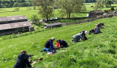 Photo of a group  conducting field research.