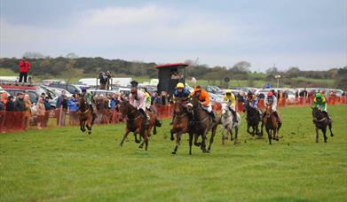 A horse race in action