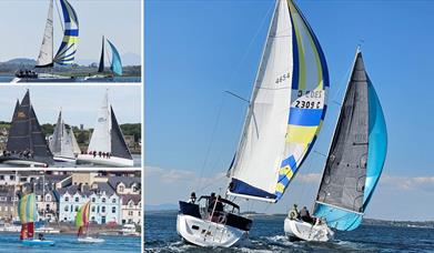 Collage of sailing boats on Strangford Lough