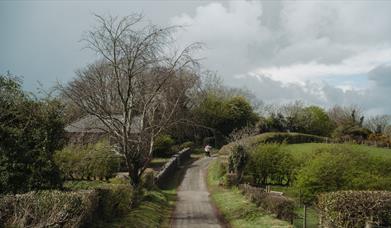 Learn to identify native tree species at the Ulster Folk Museum