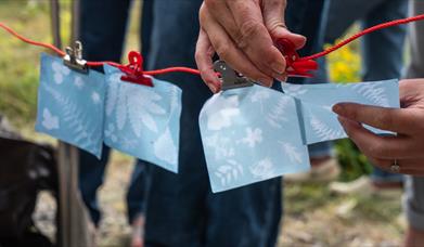 Cyanotype Printing Workshop
