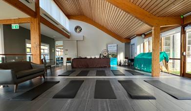 The Sound Healing Spa in the Graffan Room at WWT Castle Espie