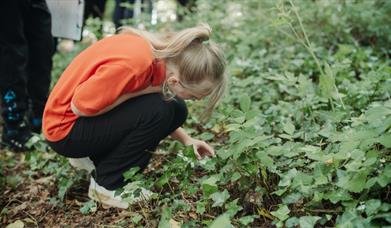 A girl in an orange tshirt exploring green woodlands