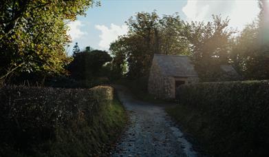 A autumnal rural lane at the ulster folk museum 