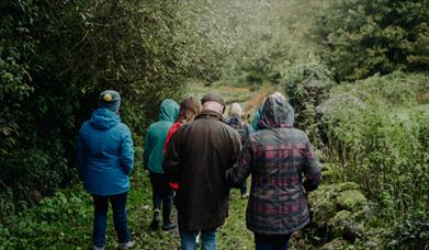 Learn to identify native tree species at the Ulster Folk Museum