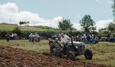 Ferguson Tractor Day at the Ulster Folk Museum