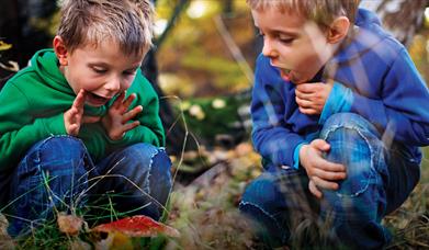 Two boys looking at fungi in the woods.
