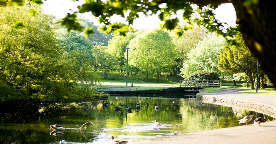 Ward Park - Public Park in Bangor, Bangor - Ards & North Down
