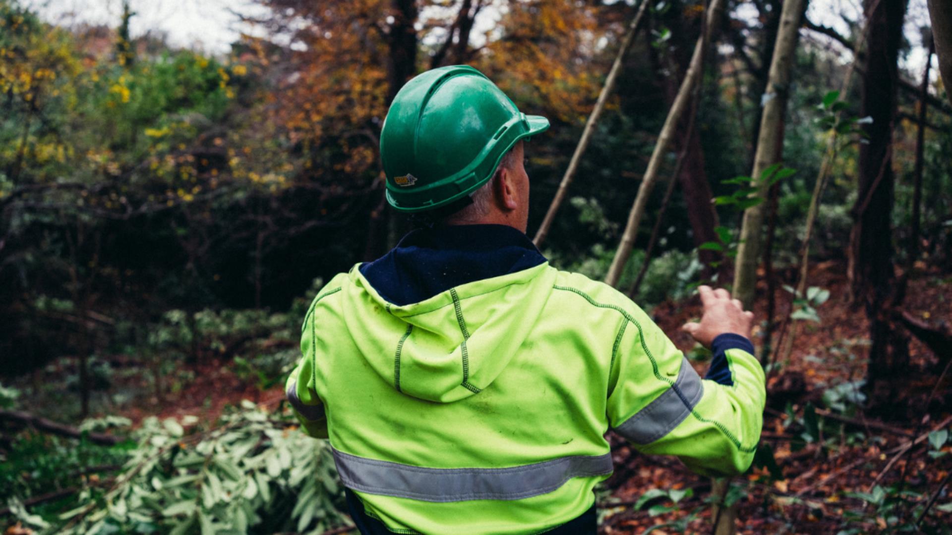 Worker in a green hard hat and high viz jacket handling ropes in a wooded area.