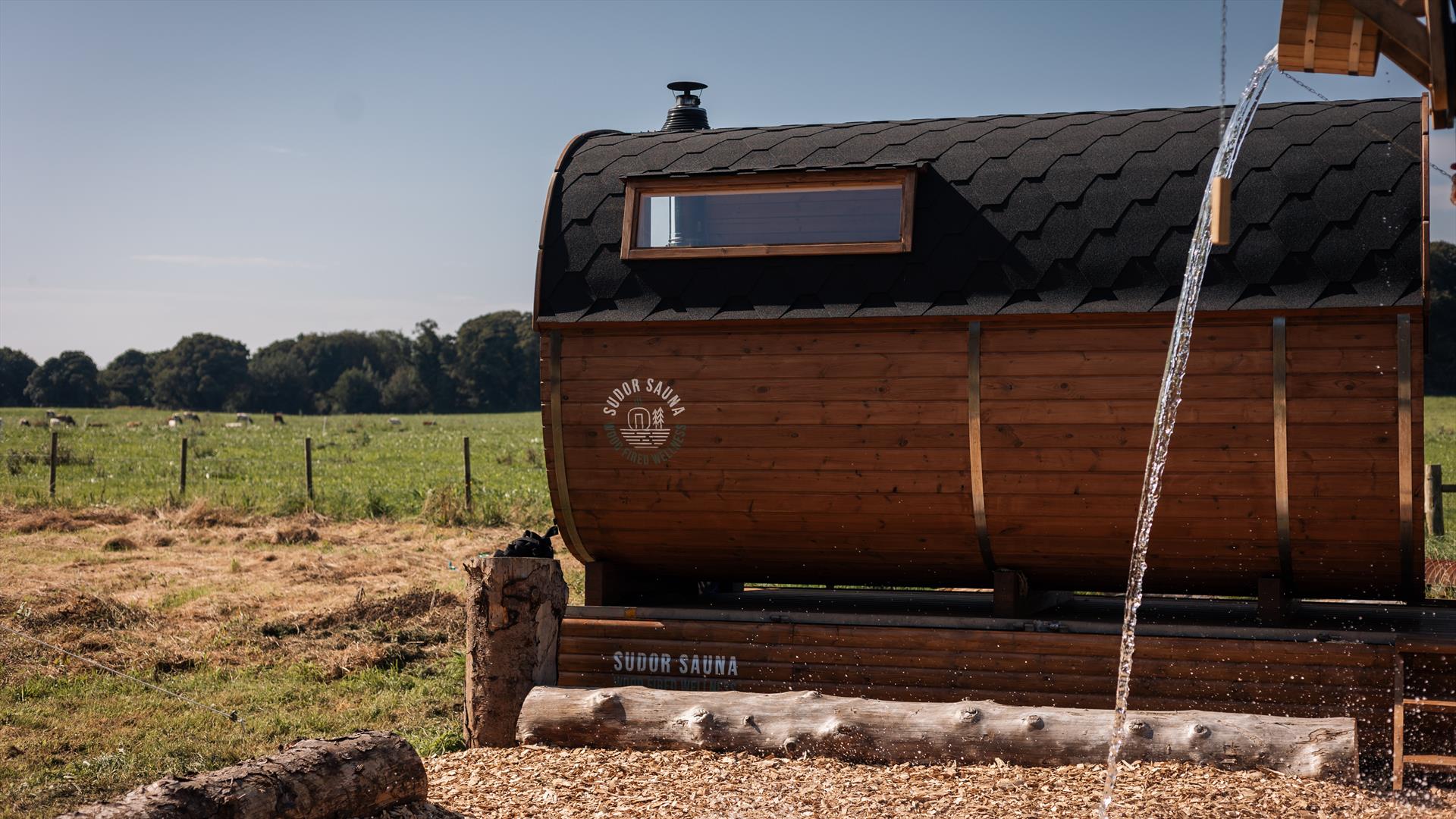 Sauna & Plunge Experience