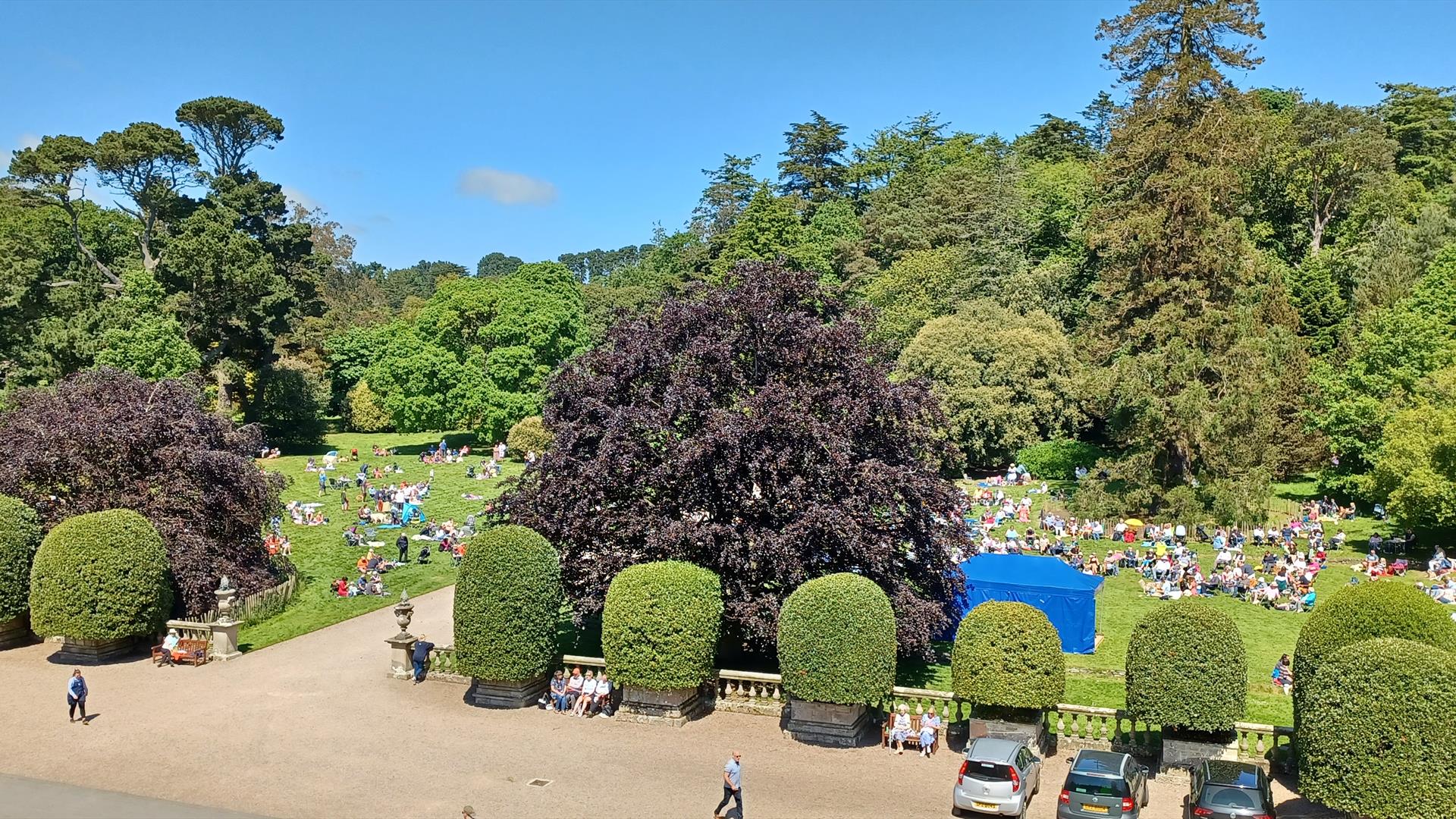 Jazz at Mount Stewart