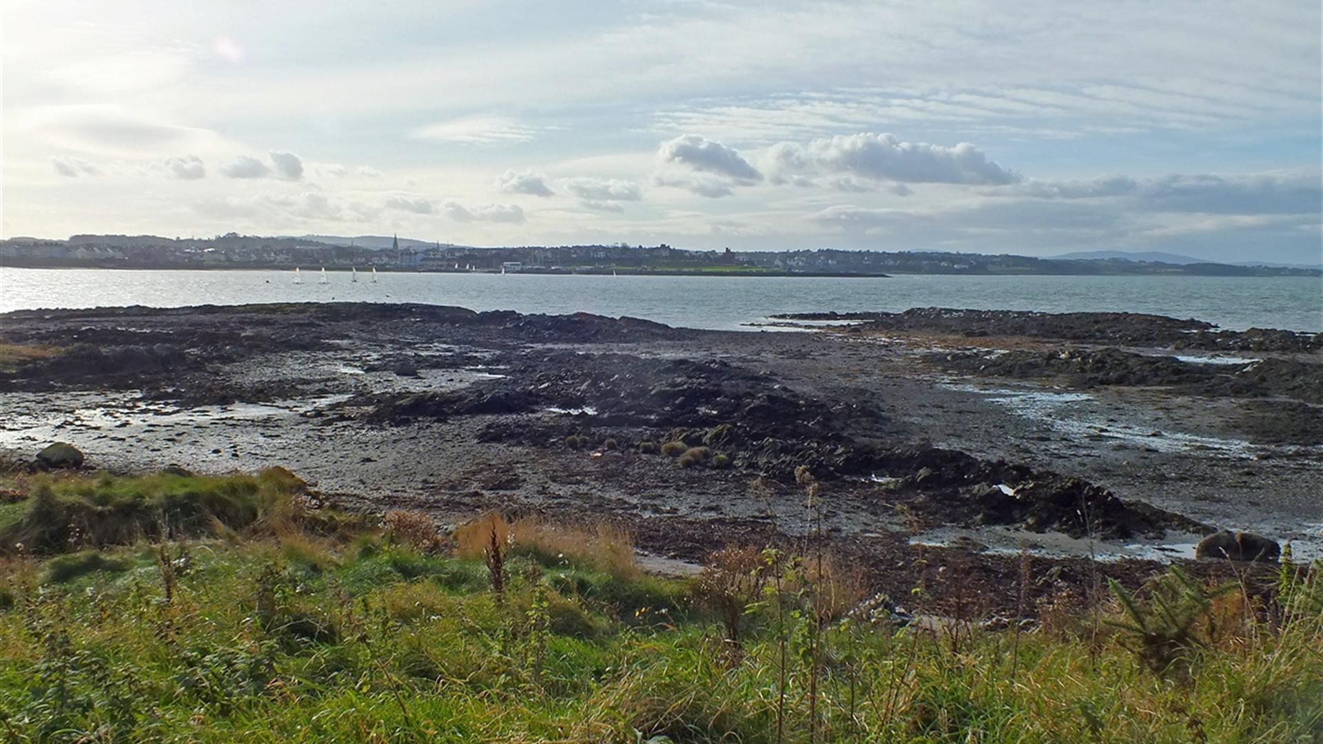 Ballymacomick Point