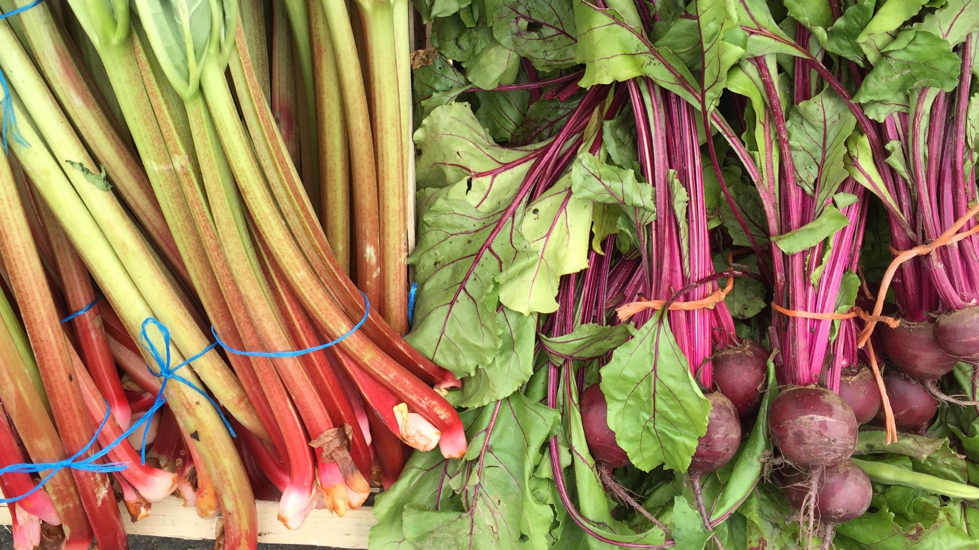 Seasonal vegetables from local produce farmers at Royal Hillsborough Farmers Market